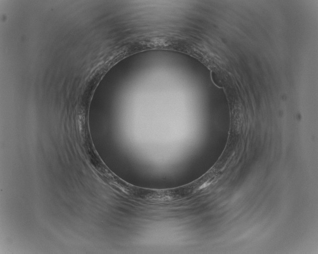 X0000073740747200608241322