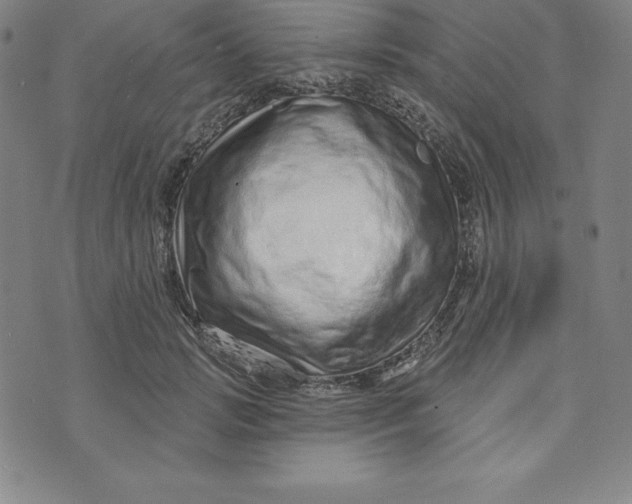 X0000073740749200608241322
