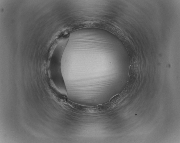 X0000073740750200608241322