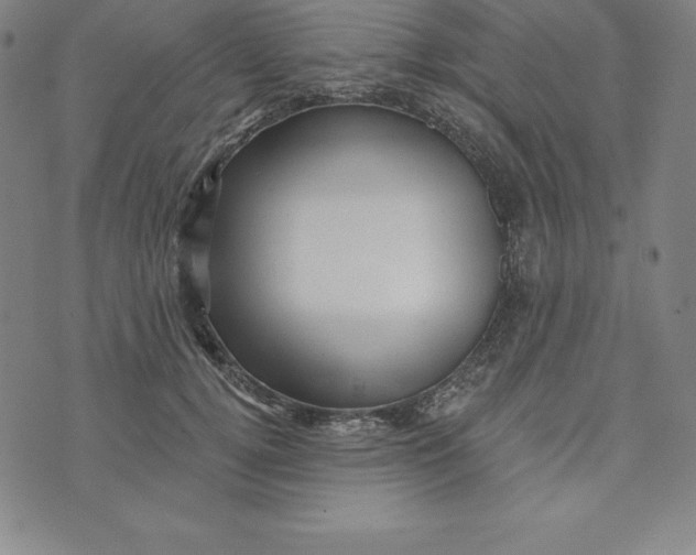 X0000073740752200608241322
