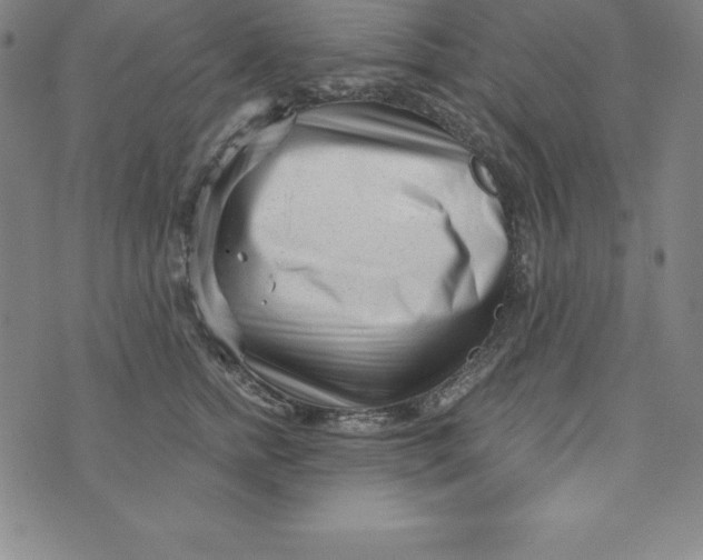 X0000073740758200608241322
