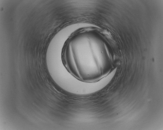 X0000073740760200608241322