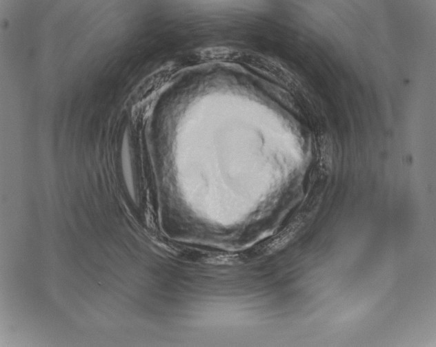 X0000073740761200608241322