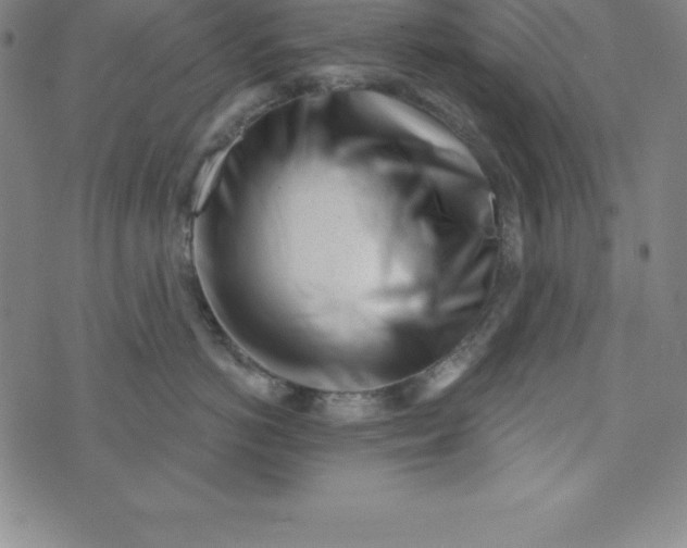 X0000073740766200608241322