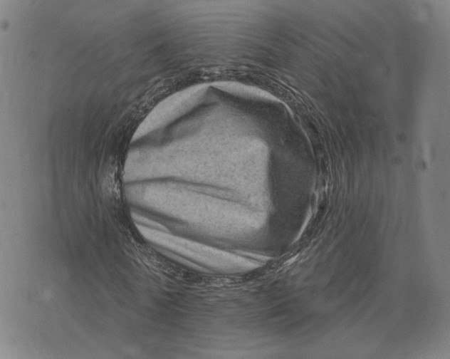 X0000073740770200608241321