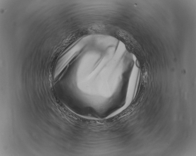 X0000073740772200608241321