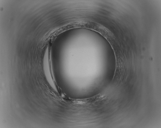 X0000073740773200608241321