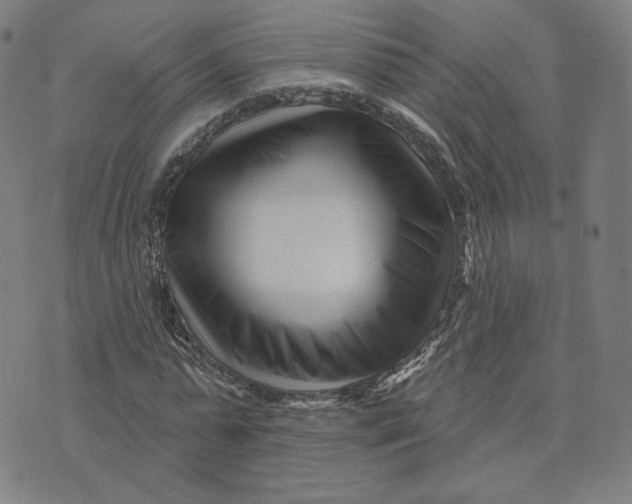 X0000073740775200608241321