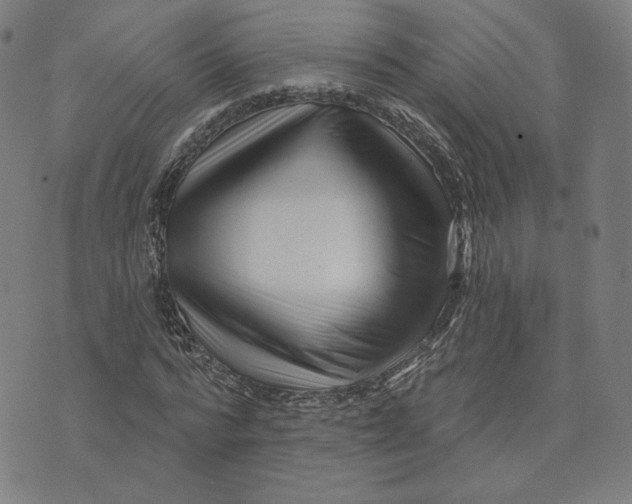 X0000073740776200608241321
