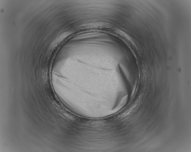 X0000073740778200608241321