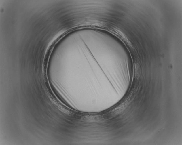X0000073740780200608241321