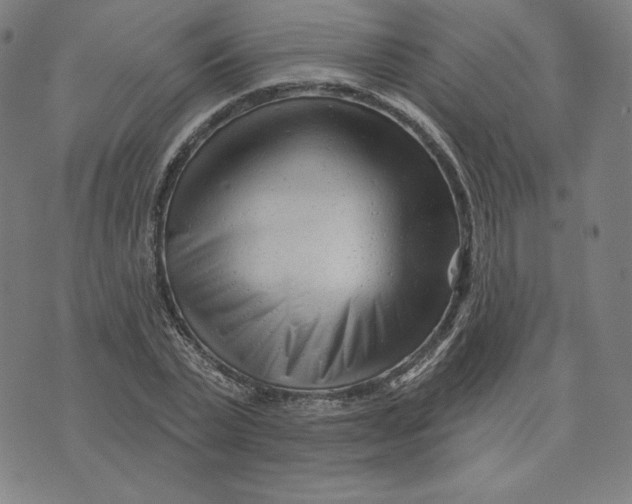 X0000073740783200608241321