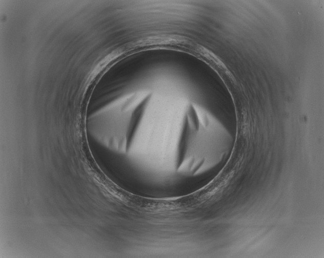 X0000073740786200608241321