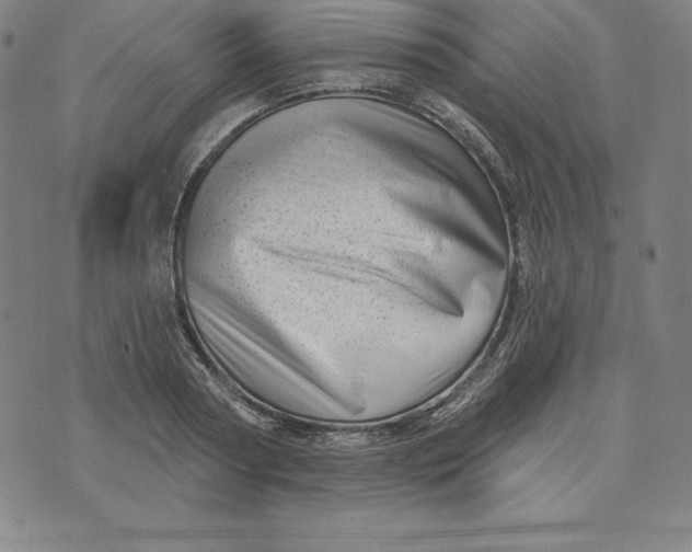 X0000073740794200608241321