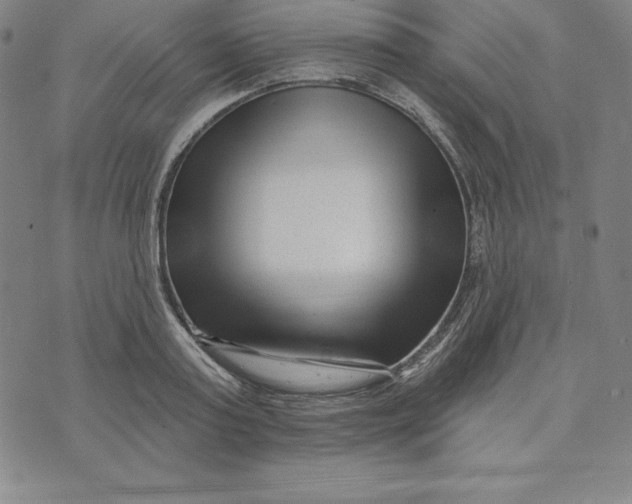 X0000073740795200608241321