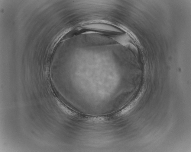 X0000073740801200608241321