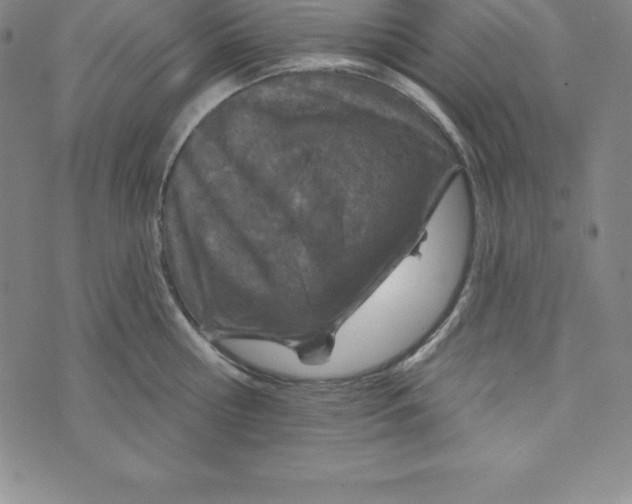 X0000073740810200608241320