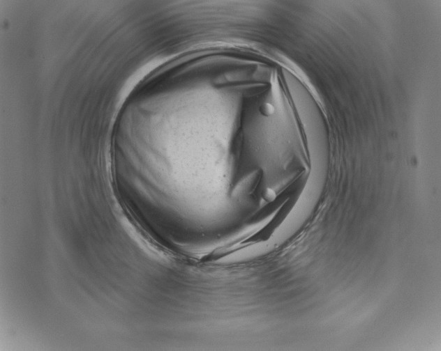 X0000073740811200608241320
