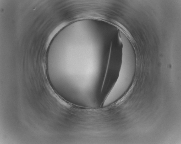 X0000073740812200608241320