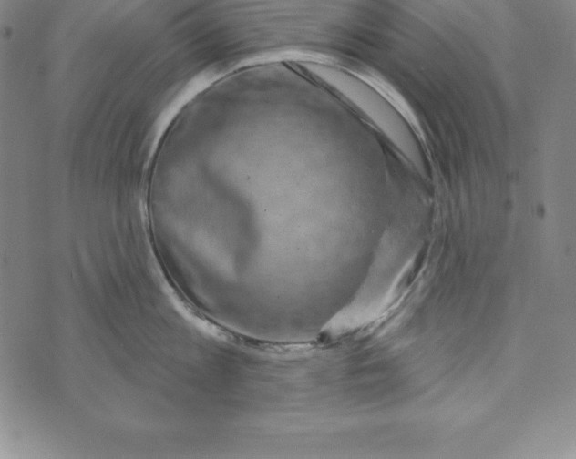 X0000073740813200608241320