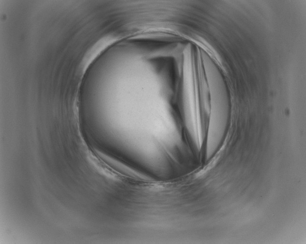 X0000073740814200608241320