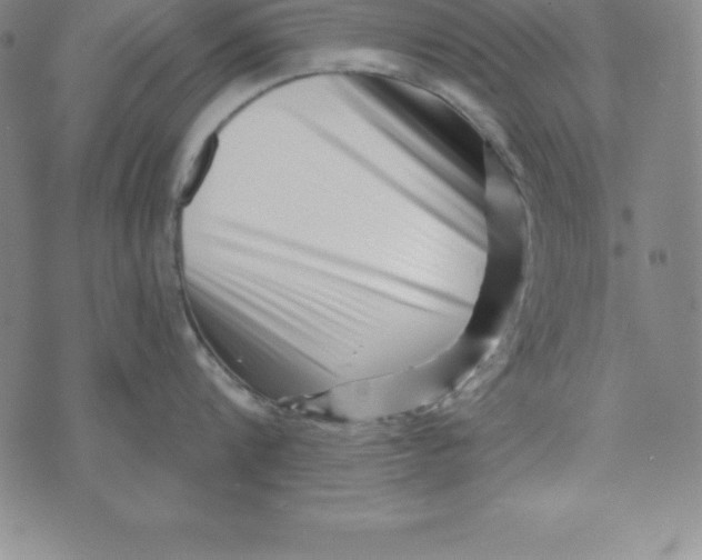 X0000073740816200608241320