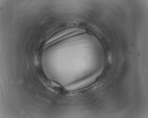 X0000073740819200608241320