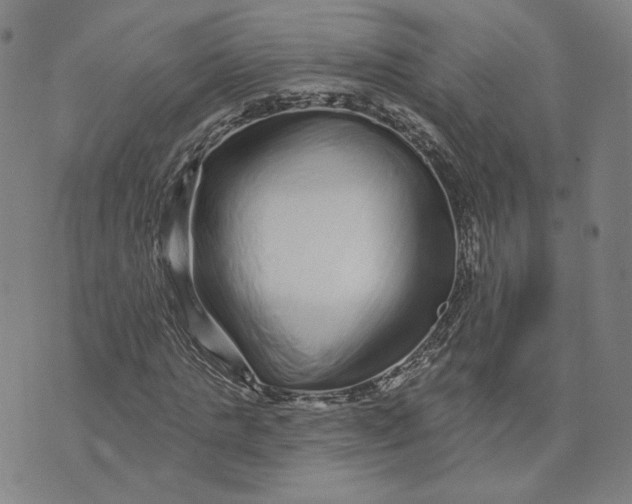 X0000073740821200608241320