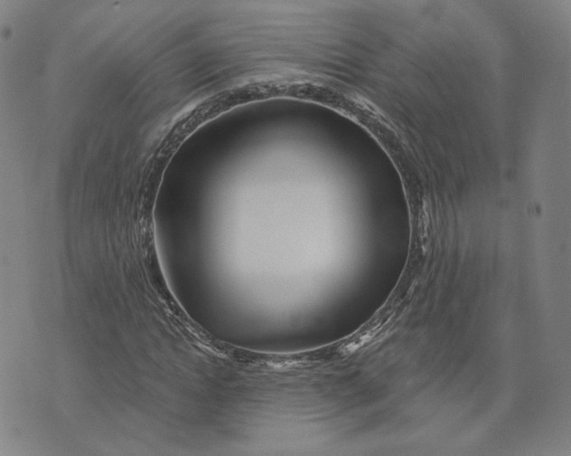 X0000073740822200608241320