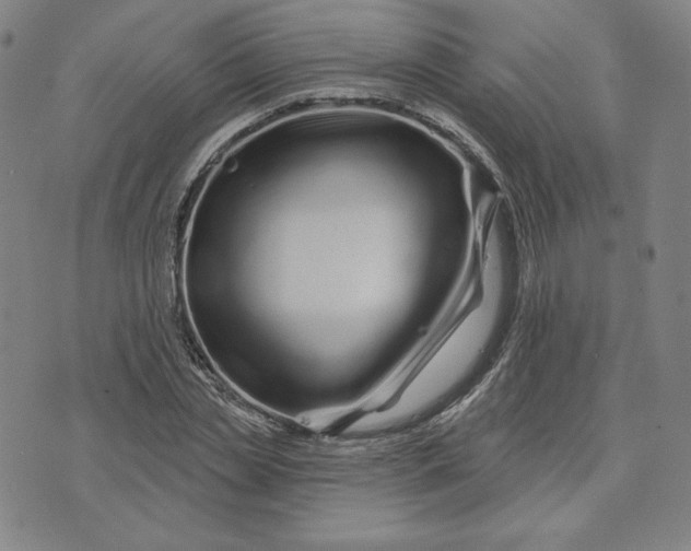 X0000073740829200608241320