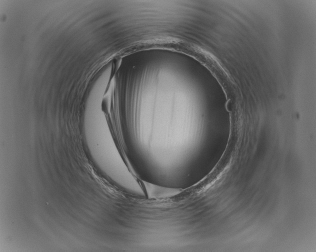 X0000073740833200608241320