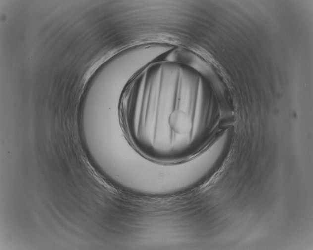X0000073740834200608241320