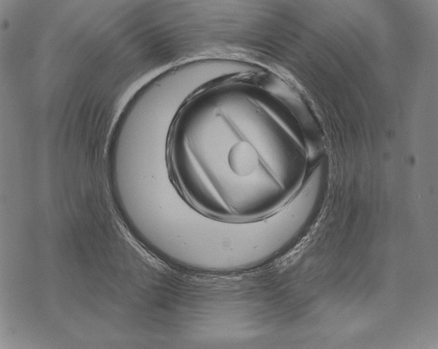 X0000073740838200608241320