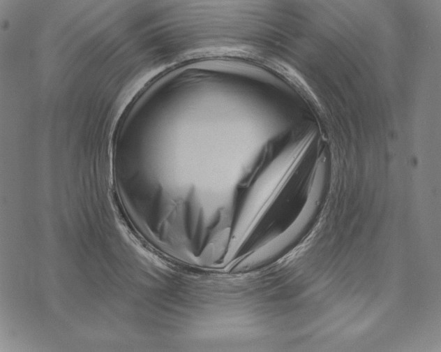 X0000073740844200608241320