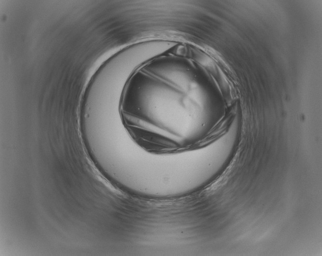 X0000073740846200608241320