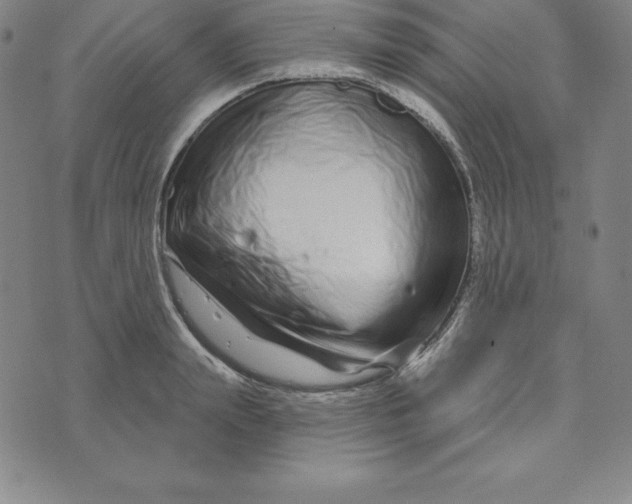 X0000073740847200608241320
