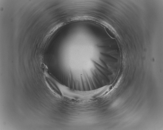 X0000073740849200608241320