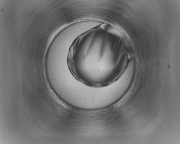 X0000073740854200608241320