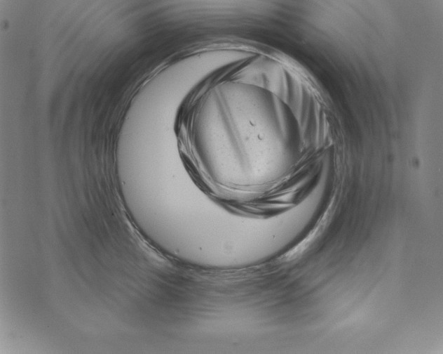 X0000073740857200608241320