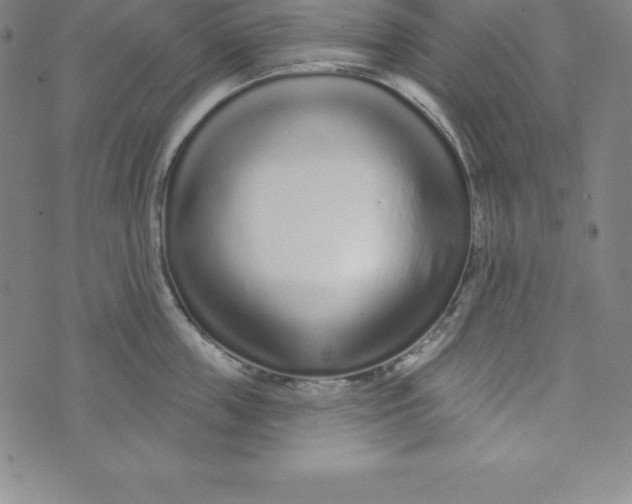 X0000073740859200608241320