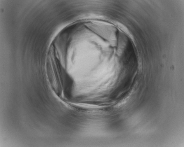 X0000073740863200608241320