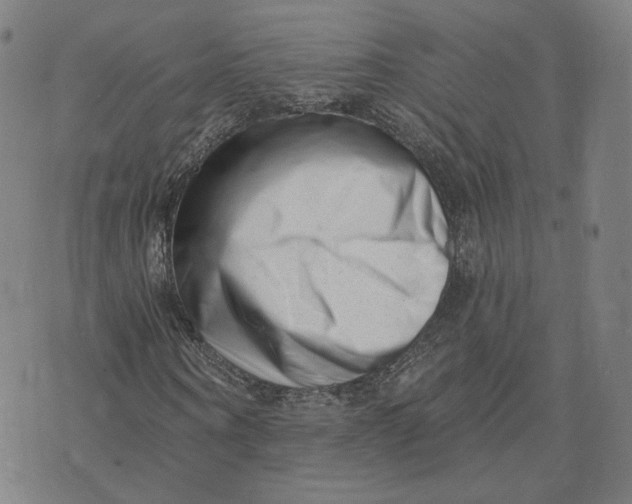 X0000073740866200608241319