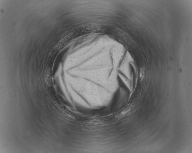 X0000073740867200608241319