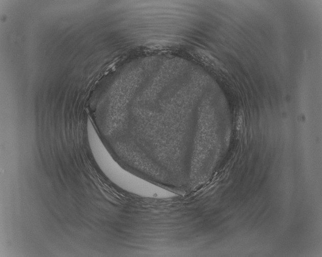 X0000073740868200608241319