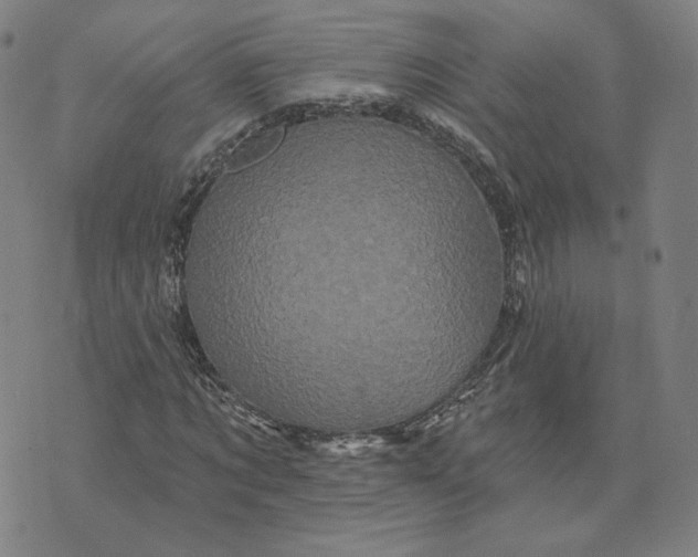 X0000073740869200608241319