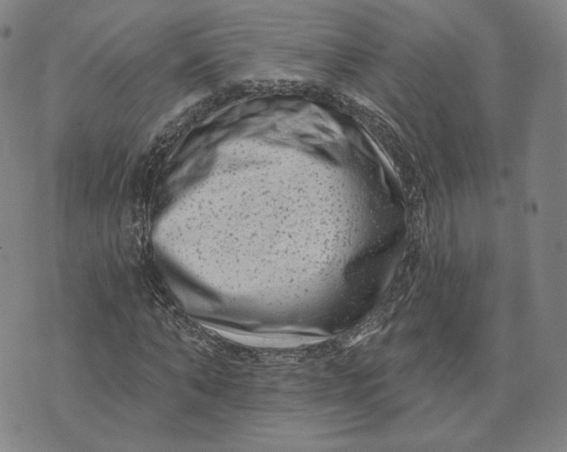 X0000073740870200608241319