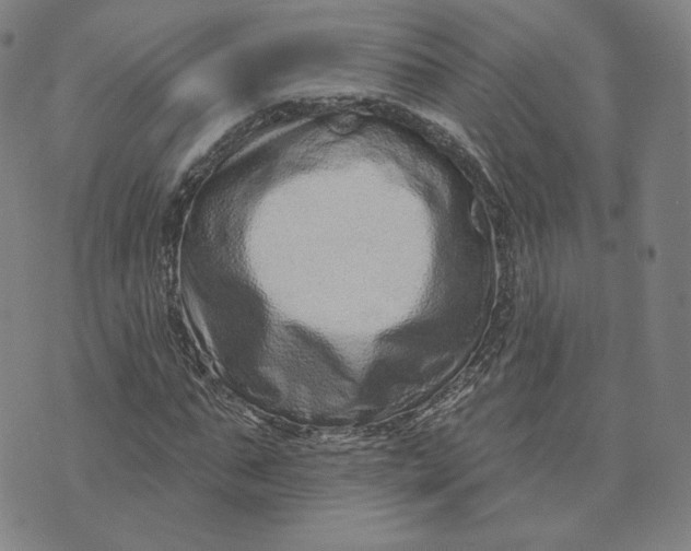 X0000073740871200608241319