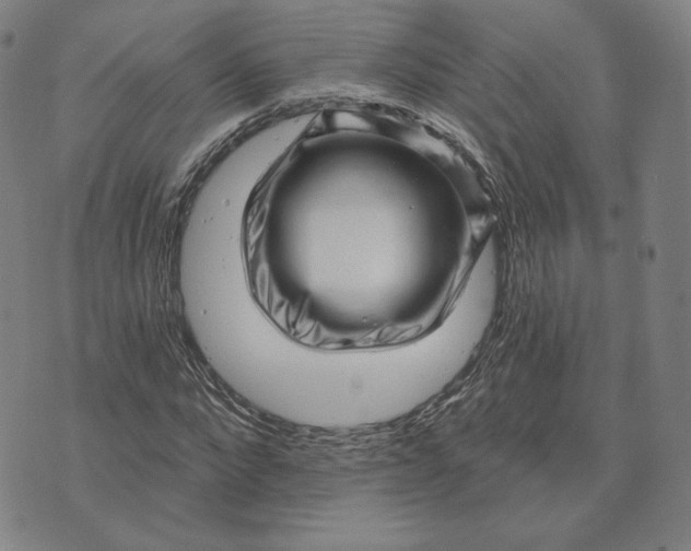 X0000073740872200608241319