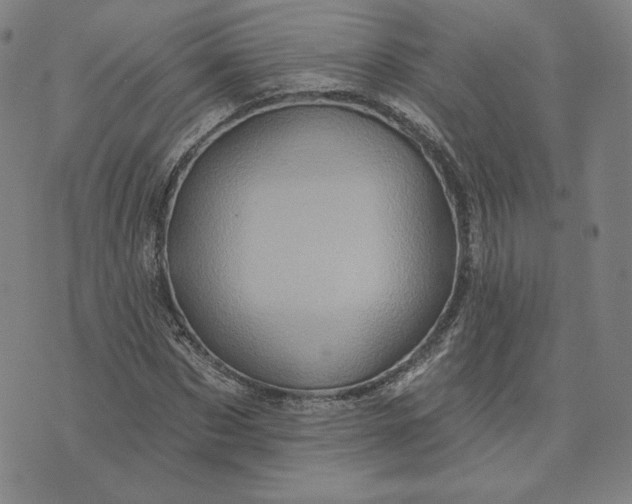 X0000073740873200608241319