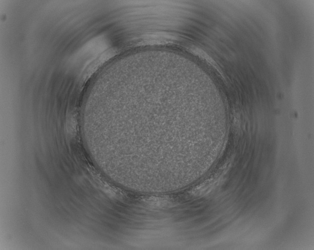 X0000073740874200608241319